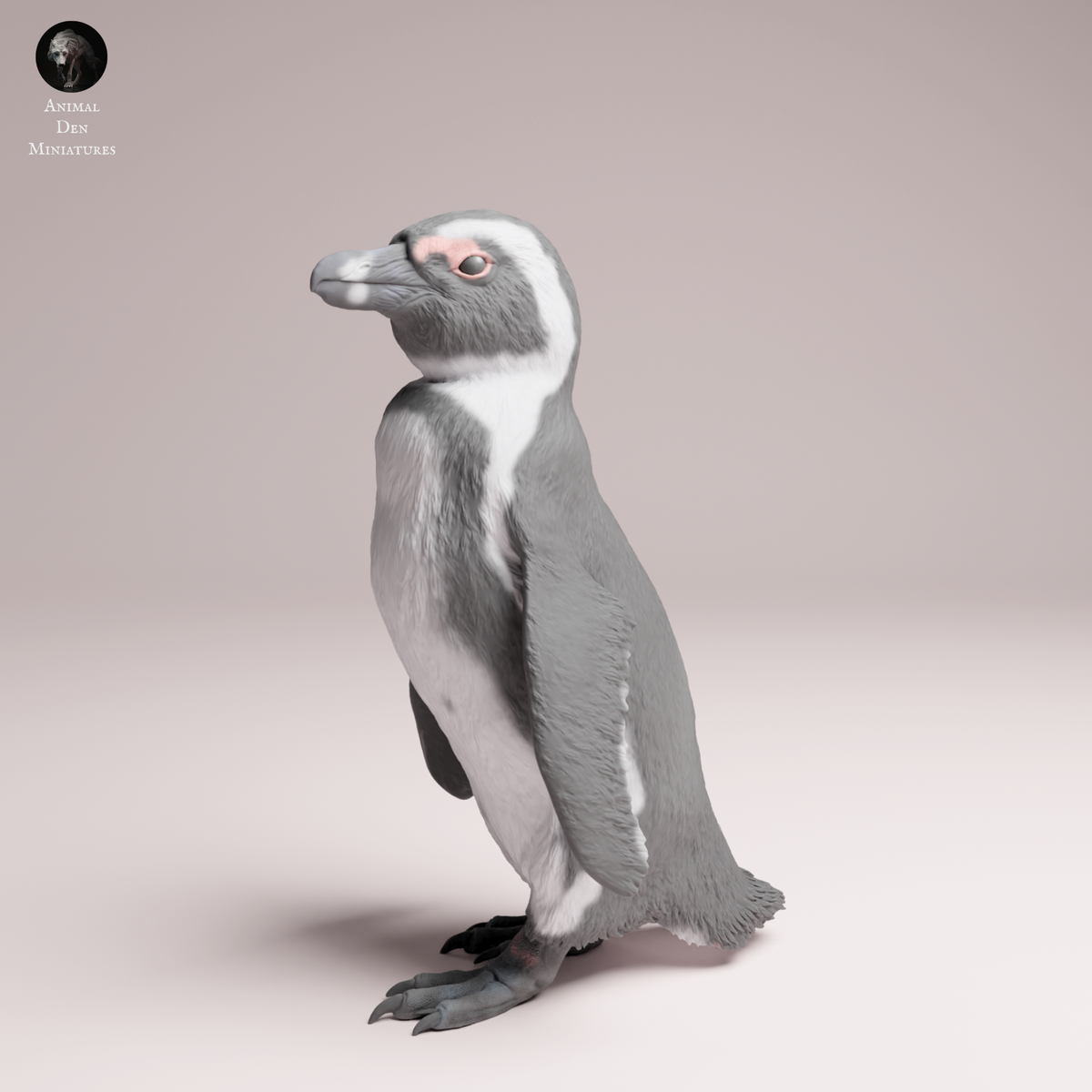 Anml-260202 African_penguin（ケープペンギン） – サベージランド