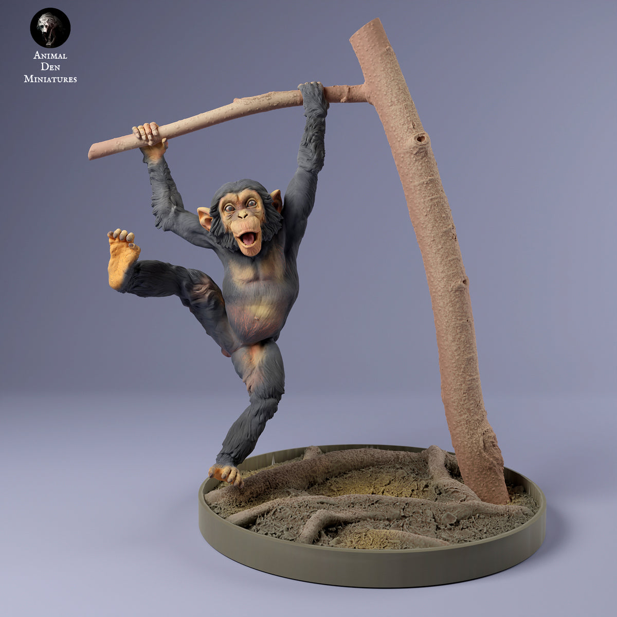 Anml-240205 Chimpanzee infant hanging（チンパンジー） – サベージ