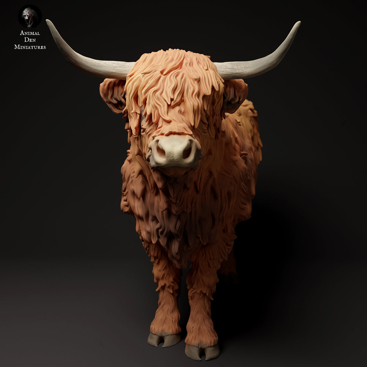 Anml-240102 Highland cow（ハイランドカウ） – サベージランド