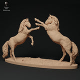 Anml-231108 konik horse fight