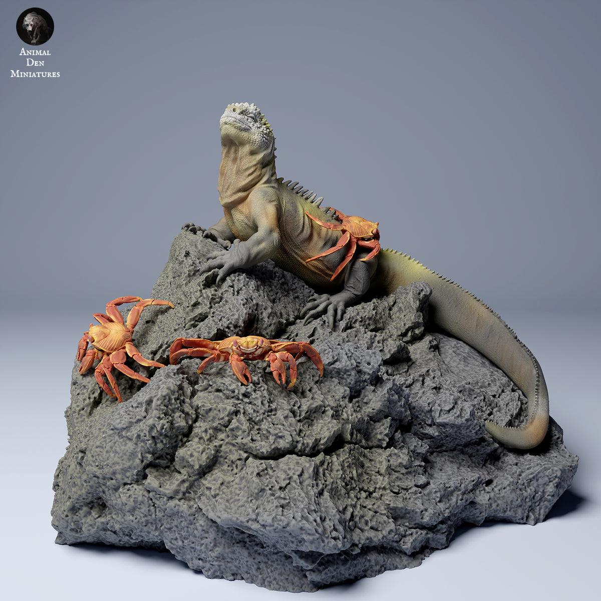 marine_iguana_3_1200x1200.jpg?