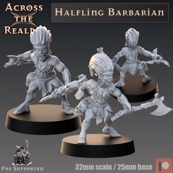 acr-211004 halfling barbarian