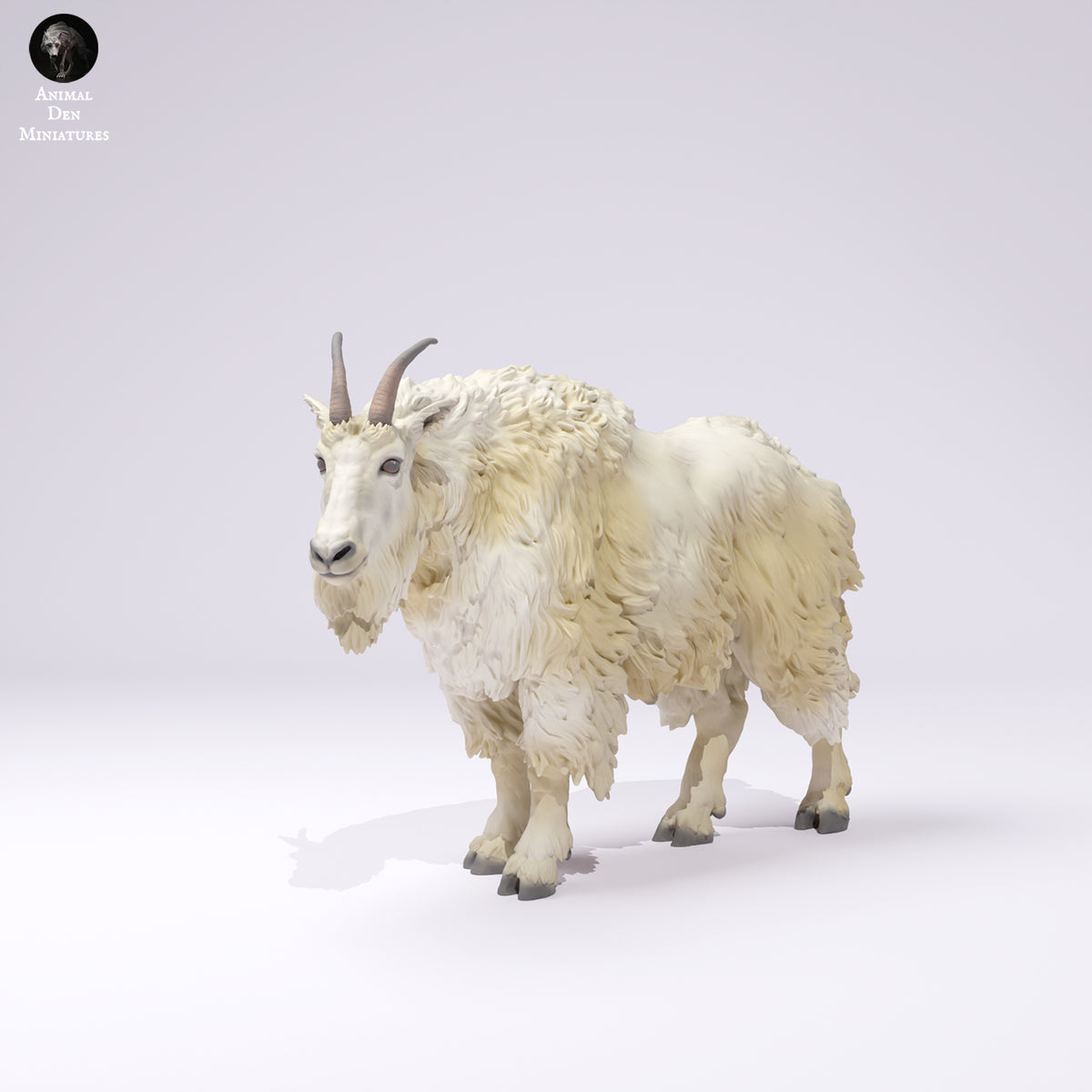rocky_mountain_goat_male_4_1_1