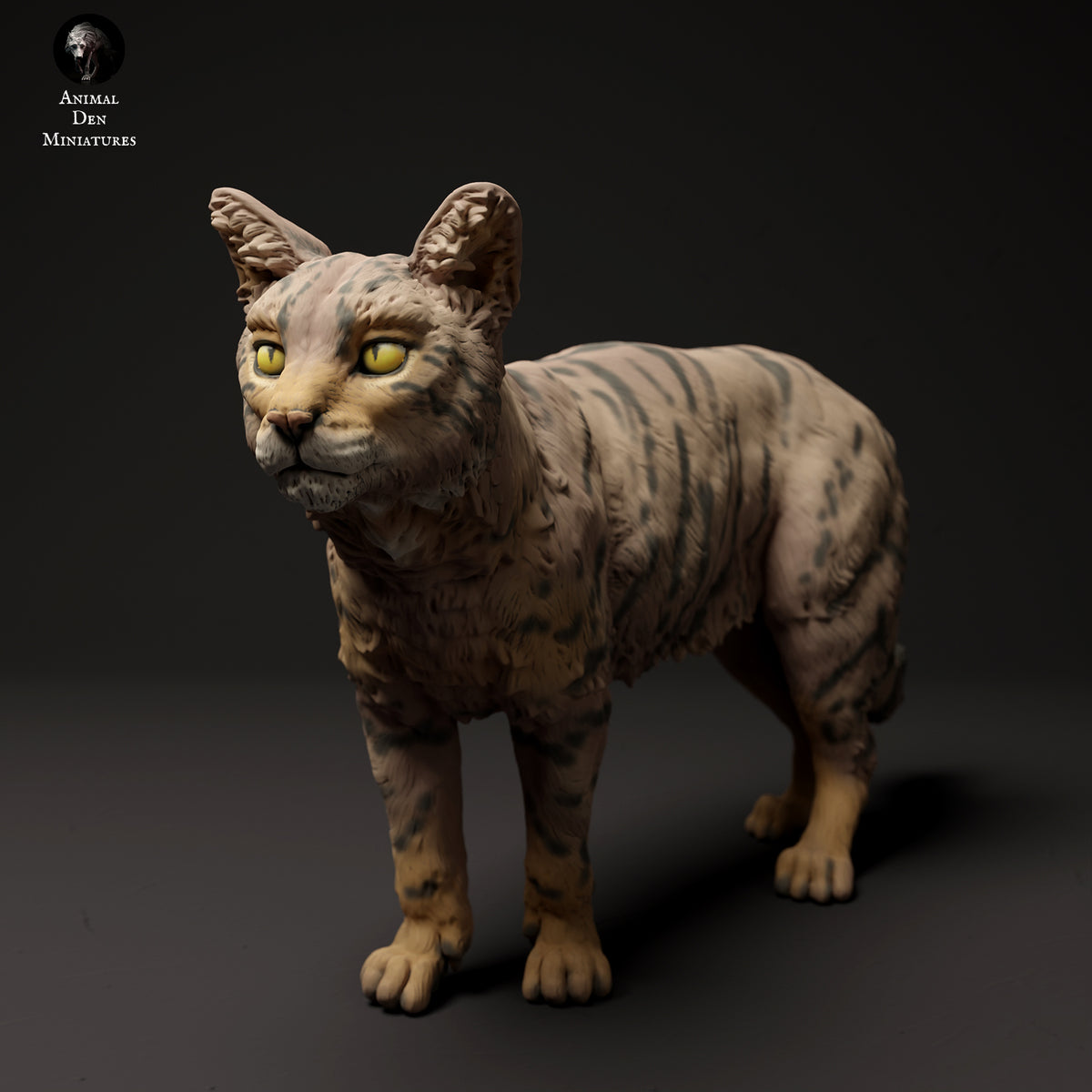 Anml-240107 Scottish wildcat（スコットランドヤマネコ） – サベージ