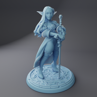 Twin-250405 Melrissa the Elven Paladin