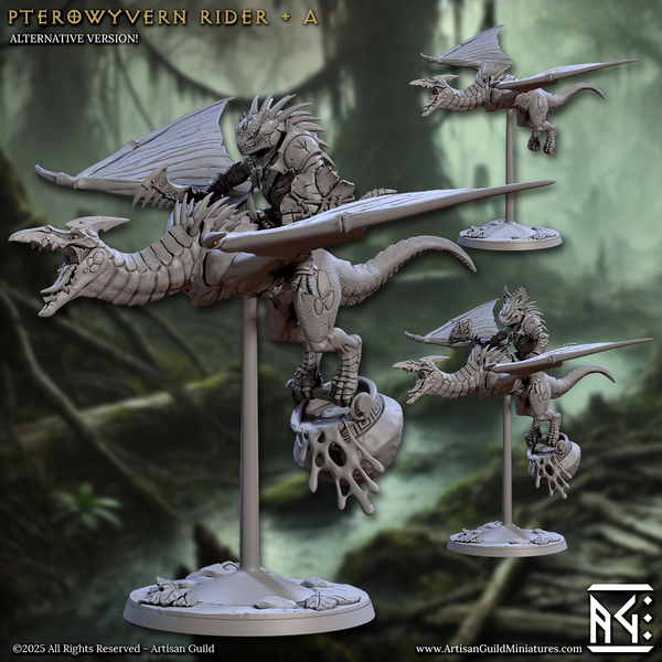 ag-250610 Pterowyvern Rider A