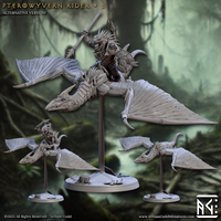 ag-250611 Pterowyvern Rider B