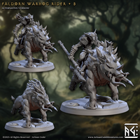 ag-250111 Faldorn Warhog Rider B