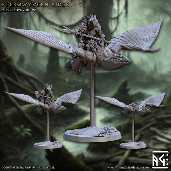 ag-250612 Pterowyvern Rider C