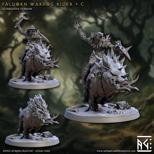 ag-250112 Faldorn Warhog Rider C