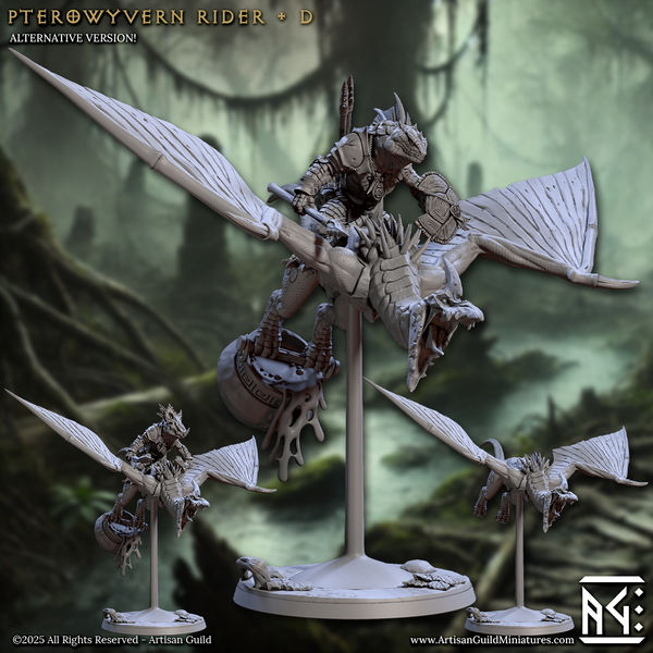 ag-250613 Pterowyvern Rider D