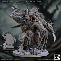 ag-241014 Vorrkarn, Beastman Aberration