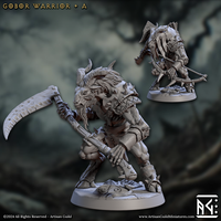 ag-241007 Gobor Warrior A