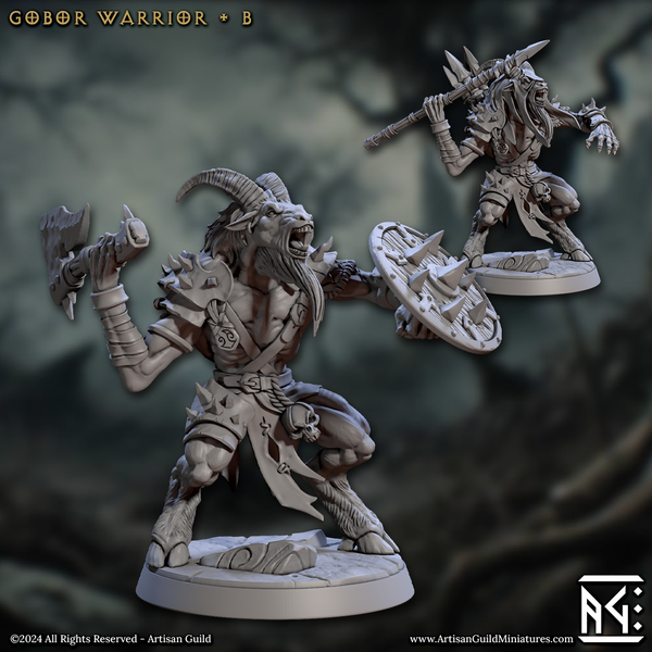 ag-241008 Gobor Warrior B