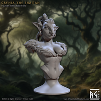 ag-2501b03 Grenia the Shaman (Bust)