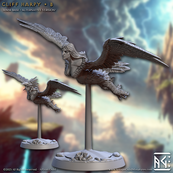 ag-250803 Cliff Harpy B