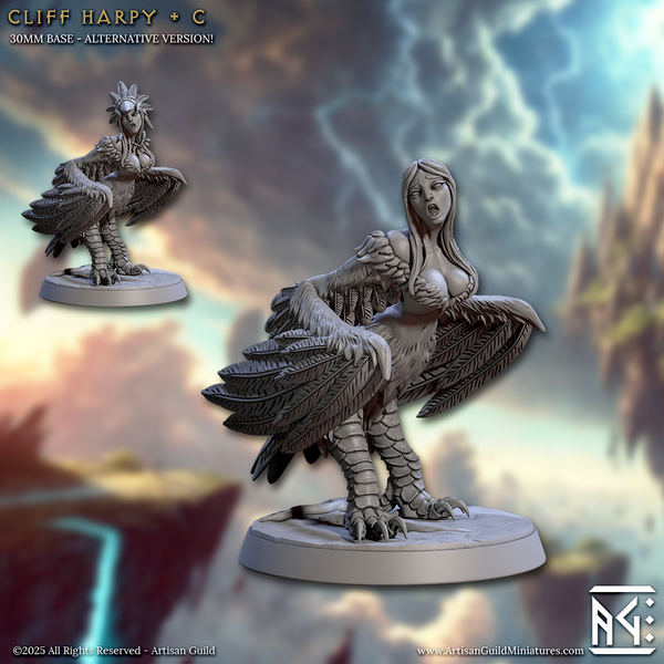 ag-250804 Cliff Harpy C