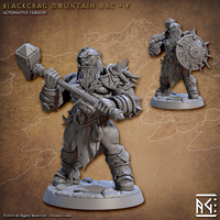 ag-240710 Blackcrag Mountain Orc F