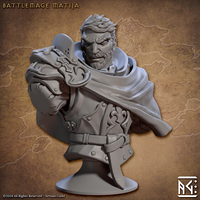 ag-2406b03 Battlemage Matija