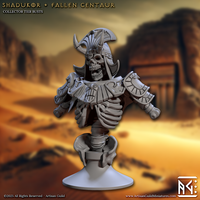 ag-2505b03 Shadukor Fallen Centaur (Bust)