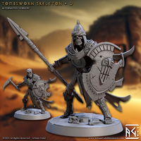 ag-250516 Tombsworn Skeleton D