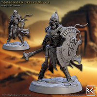 ag-250517 Tombsworn Skeleton E
