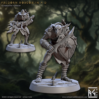 ag-250105 Faldorn Hobgoblin D