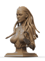 Ca3d-240908 Medusa Bust