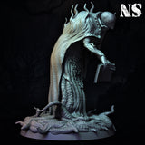 ns-260203 Darkman