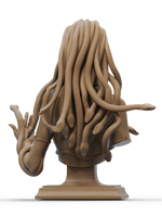 Ca3d-240908 Medusa Bust