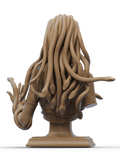 Ca3d-240908 Medusa Bust