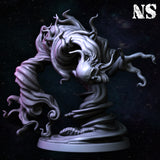 ns-250908 Trunembra