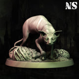 ns-251101 Cat Of Ulthar 1