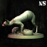 ns-251101 Cat Of Ulthar 1