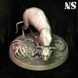 ns-251101 Cat Of Ulthar 1