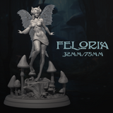 DnM-240802 Feloria