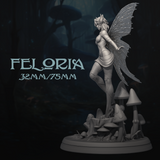 DnM-240802 Feloria