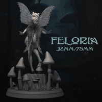 DnM-240802 Feloria