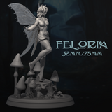 DnM-240802 Feloria