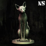 ns-251102 Cat Of Ulthar 2