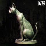 ns-251102 Cat Of Ulthar 2