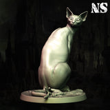 ns-251103 Cat Of Ulthar 3