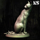 ns-251103 Cat Of Ulthar 3