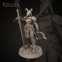 Gaa-230603 Female Tiefling Paladin