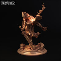 Mrg-250606 Colitax Asorus