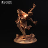 Mrg-250606 Colitax Asorus