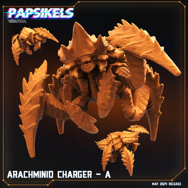 pap-2405s01 ARACHMINID CHARGER A
