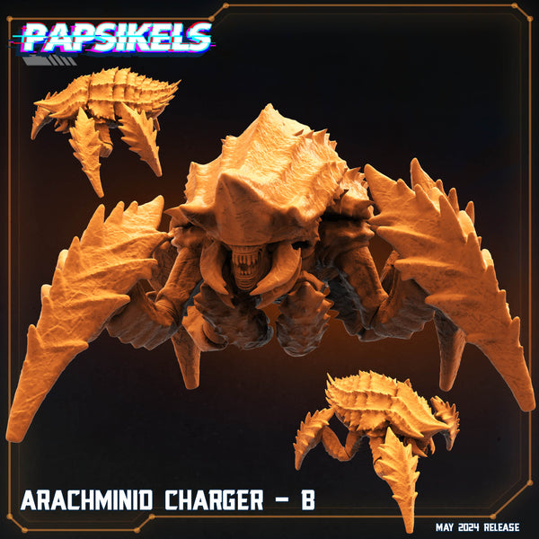 pap-2405s02 ARACHMINID CHARGER B
