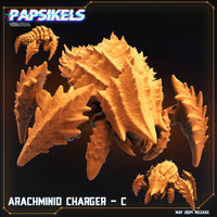 pap-2405s03 ARACHMINID CHARGER C