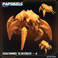 pap-2405s04 ARACHMINID SCAVENGER A